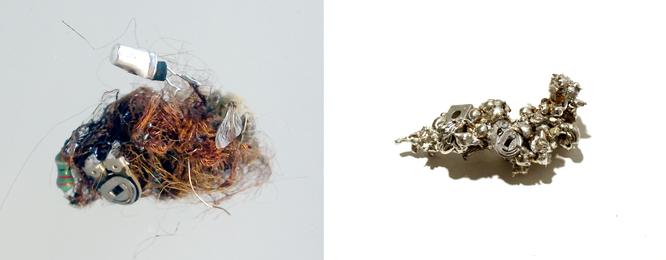 Left: Lee, Rosemary. ‘animinerlectroplantimal (study)’. 2013. Copper wire, electronic components, plant fibrr, bee. Right: Lee, Rosemary. ‘Fossil’. 2013. Electronics, solder.